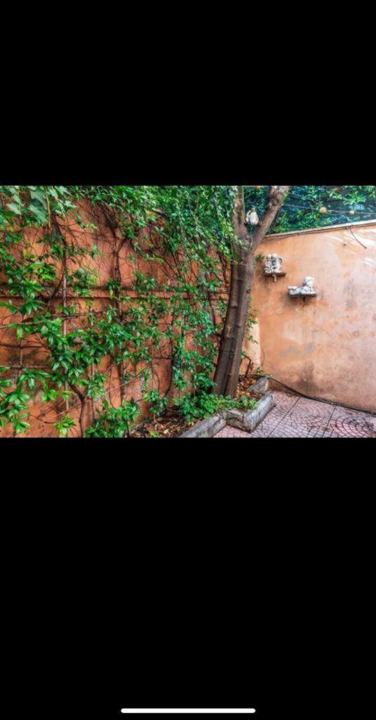 Olimpico'S Apartment Рим Екстер'єр фото